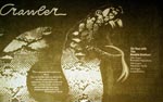 Crawler Press Advert
